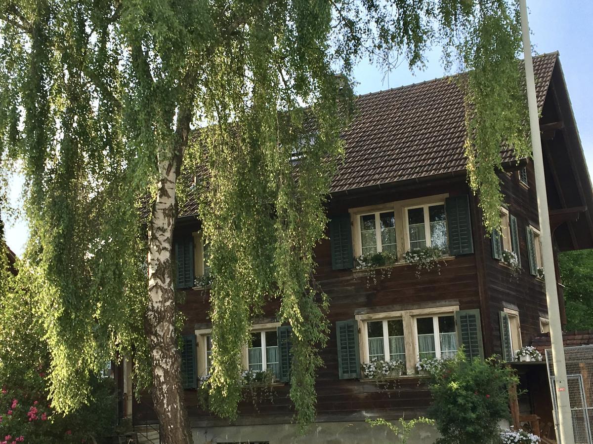 Conny'S B&B Niederweningen Ngoại thất bức ảnh