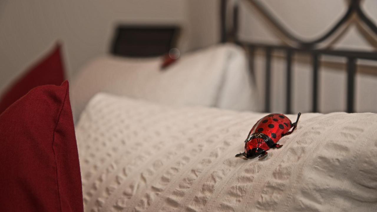 Conny'S B&B Niederweningen Ngoại thất bức ảnh